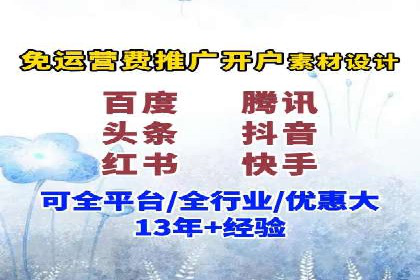 某品牌SEM广告投放的ROI提升案例
